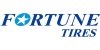 Fortune